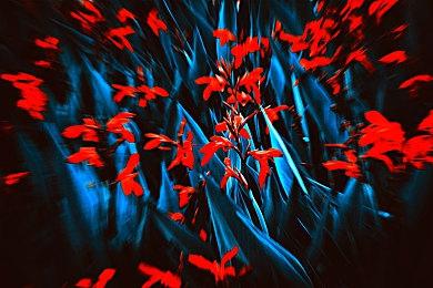 《英雄传说：创之轨迹》明年7月7日登陆欧美 新预告公开