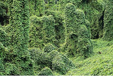 我的世界传奇豪华版和正版区别是什么？豪华版有什么内容？