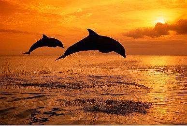 特洛伊·贝克将为《Mouse: PI for Hire》游戏主角配音