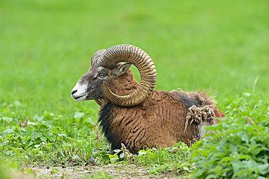 NS编程游戏《附带导航！游戏程序设计》国行版 现已发售