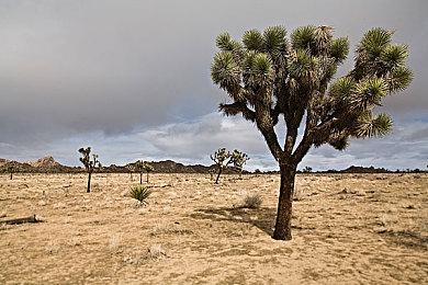 《霍格沃茨之遗》PS4＆Xbox One版跳票到5月